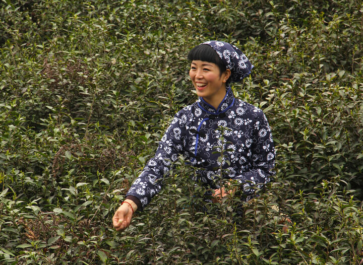 96间房主跳舞 侦探游戏